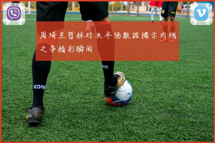 周琦王哲林对决半场数据揭示内线之争精彩瞬间