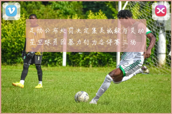 足协公布处罚决定集美诚毅与灵动星空球员因暴力行为各停赛三场